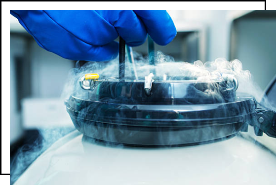 A person working with Liquid Nitrogen